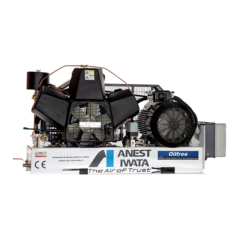 Base Mounted Oil-Free Air Compressor