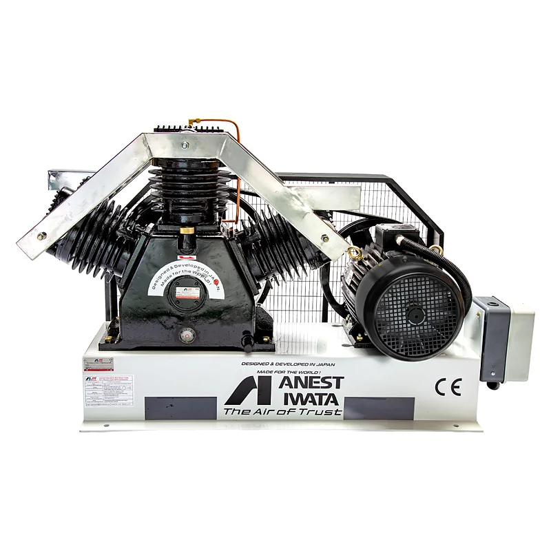 Reciprocating Vacuum Pump for Hospital Suction Units